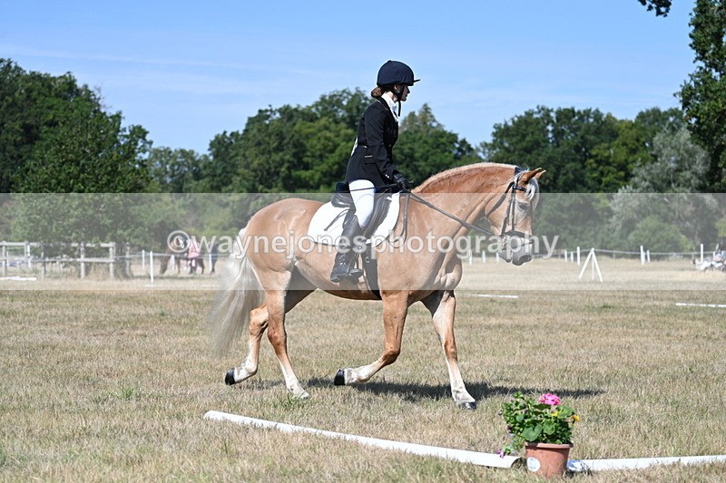 WJ7_0284 - Time 11:33 to 11:44