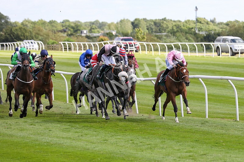 080624-Race 4-Secret Command-4761 - Race 4