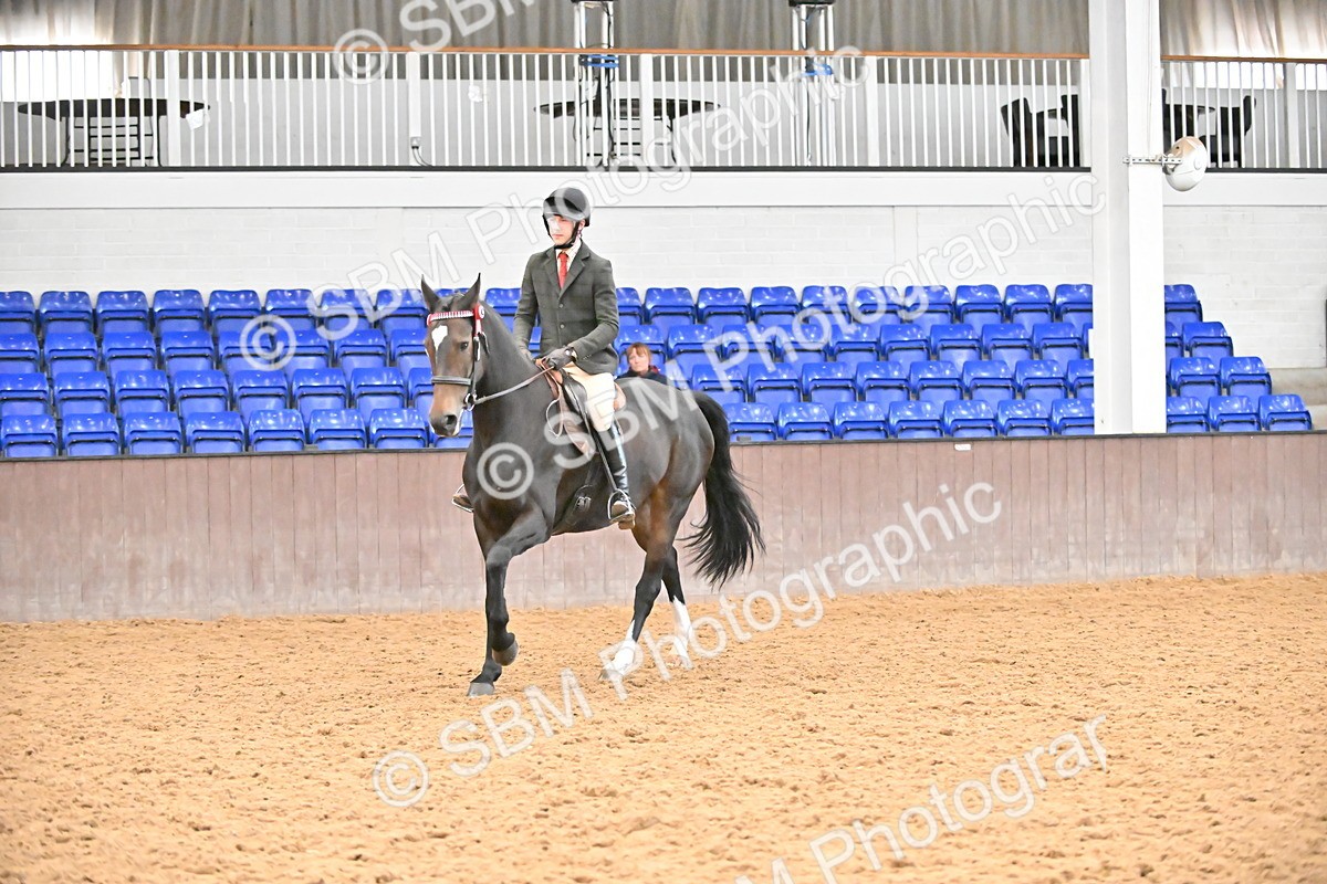 SBM_002392 - Class 22 - BSHA Ridden Hack & Riding Horse