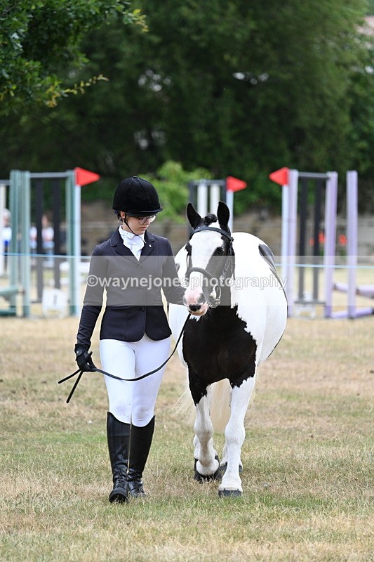 WJ7_1418 - Class 4 Prettiest Mare up to 14.2hh in hand