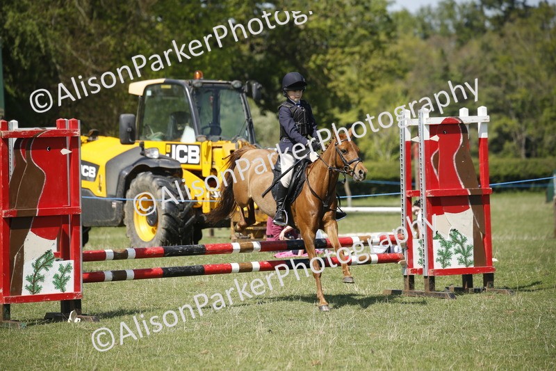 20250427-2265 - Class 13 - Novice Jumping 60cm