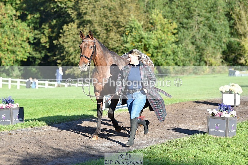 231022-100920-22269 - 482-ODDSPOT.VITAL.ELEMENT-Danielle.Davies-TrotUp+SJ