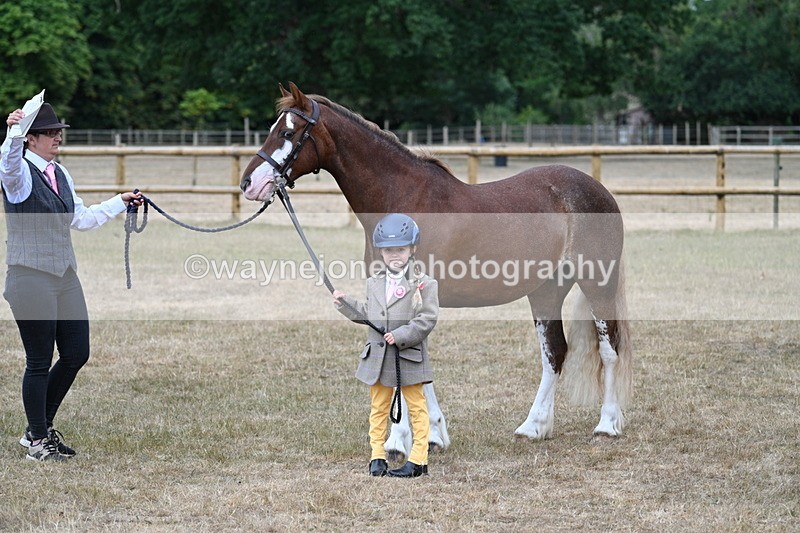 WJ7_9402 - Prettiest Mare Champs