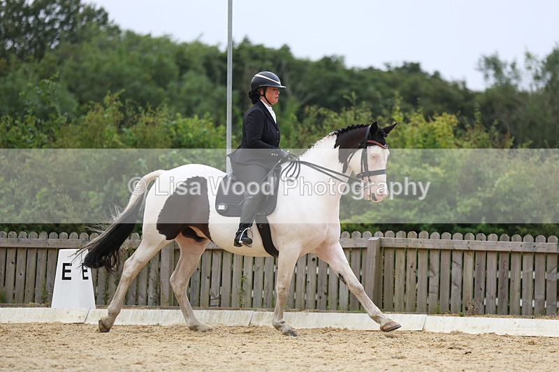 3E7A7371 - Class 9: Elementary 4 2024 - No sections