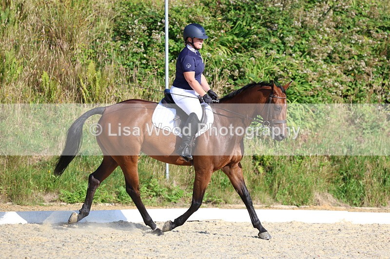 3E7A3566 - Class 2: Intro 1 2024 Section B