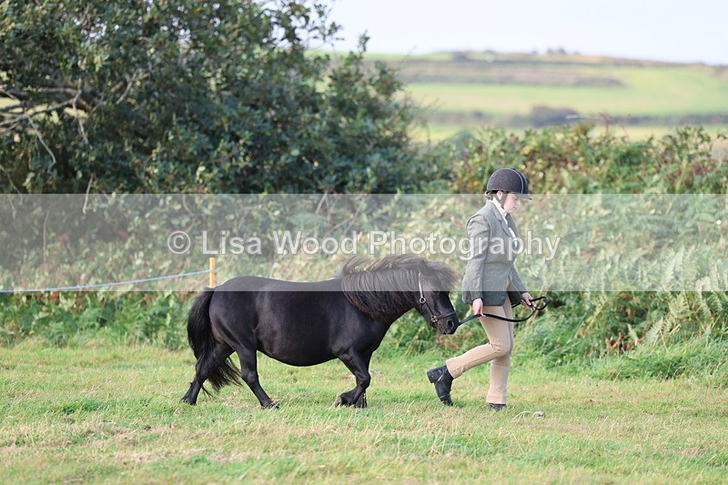 3E7A3122 - Class 12: M & M Small Breeds