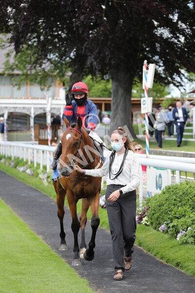 yr12062021r1-35 - Race 1 2.00pm Queen Mother's Cup