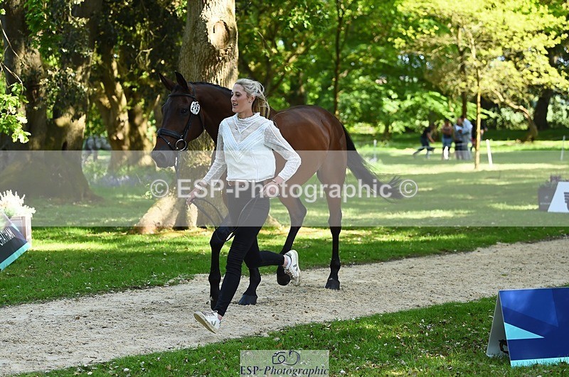 230524-155714-00577 - 205-ARTICUS-Maja_Hullah-WEDTrotUp+DR