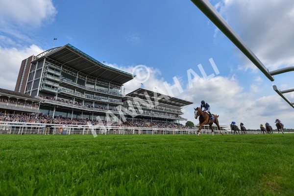 160524-Race 4-Economics-2 - Race 4 3.45pm Al Basti Equiworld Dubai Dante Stakes