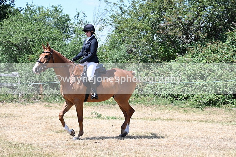 WJ7_2741 - Class 7 Riding Club Show Horse