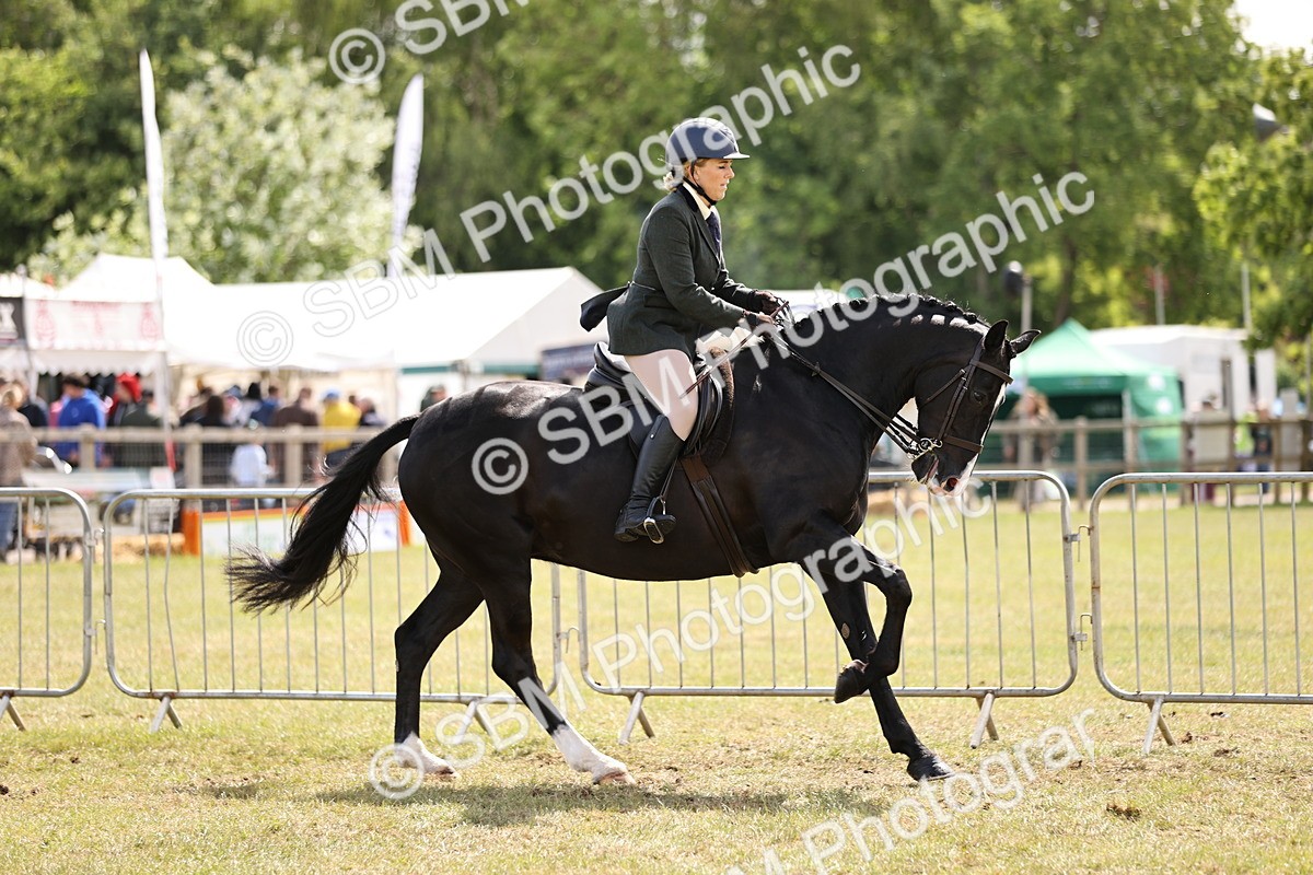 SBM_14528 - Class 88-89 - LIHS BSHA Rising Star of Ridden Hunter Type