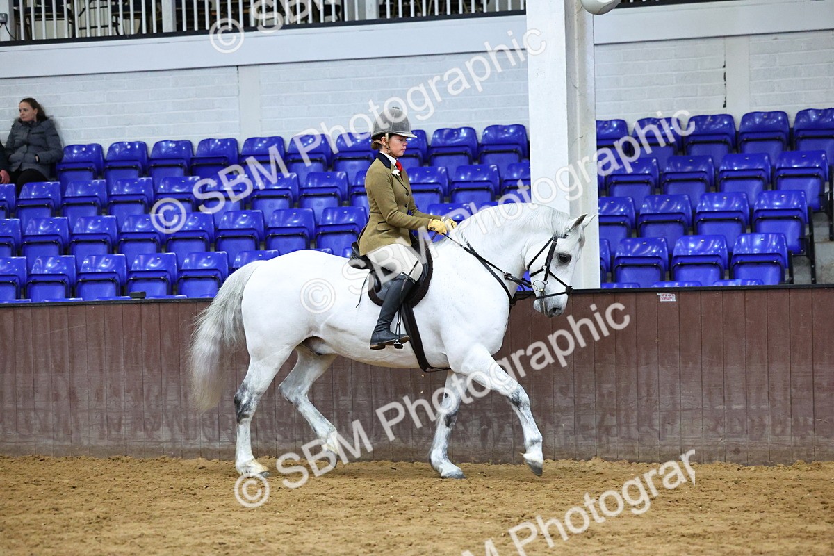 SBM_005576 - M&M Novice WHP Championship