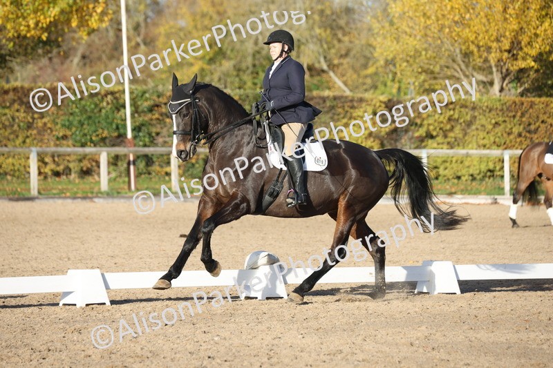 20251102-1309 - Class 9 - Advanced Medium 3