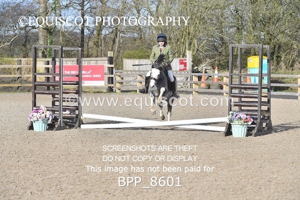 BPP_8601 - TRAINING STAKES