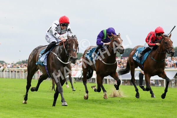 yr04092022r4-18 - Race 4 3.30pm Federation of Bloodstock Agents Nursery Handicap