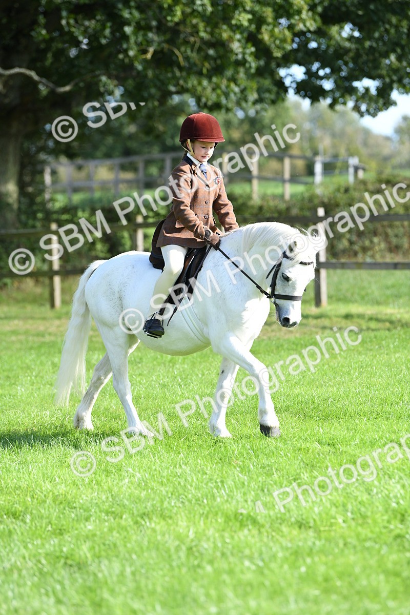 SBM_50400 - S21 - Novice & Newcomers 1st Ridden Pony