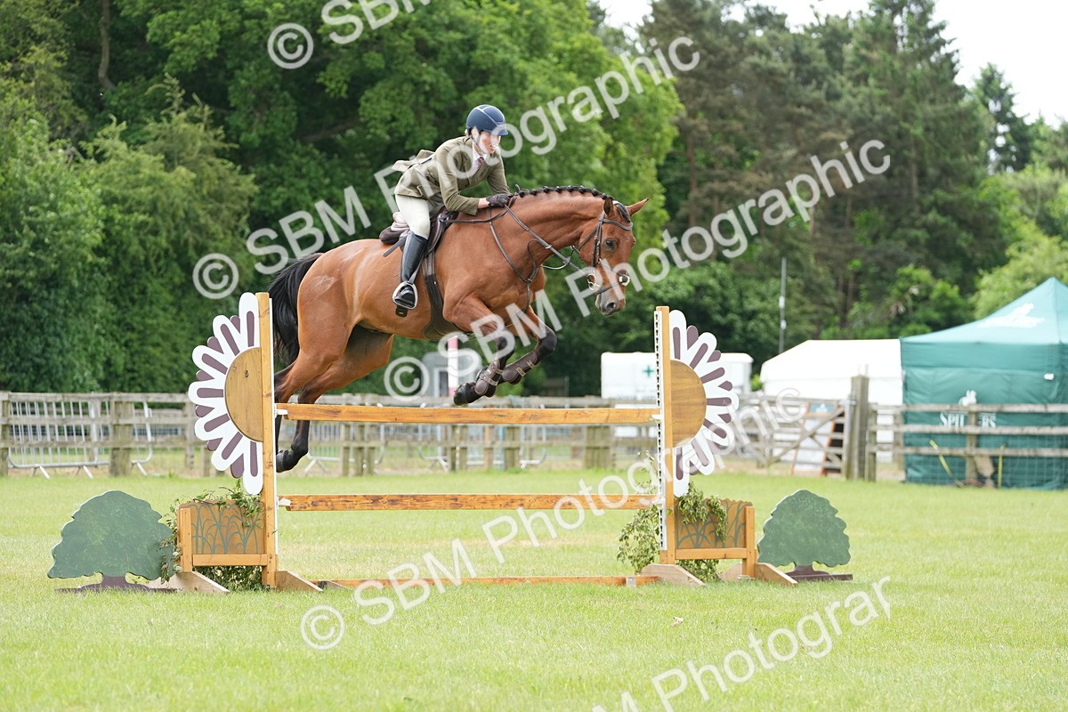 SBM_14925 - Class 100-102 - RIHS Working Hunter