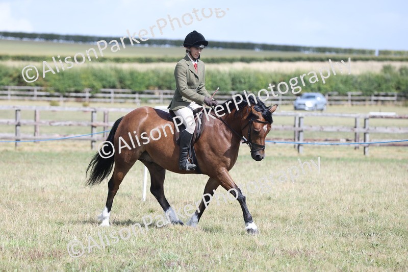 20250831-2921 - Class 19 - Mountain and Moorland