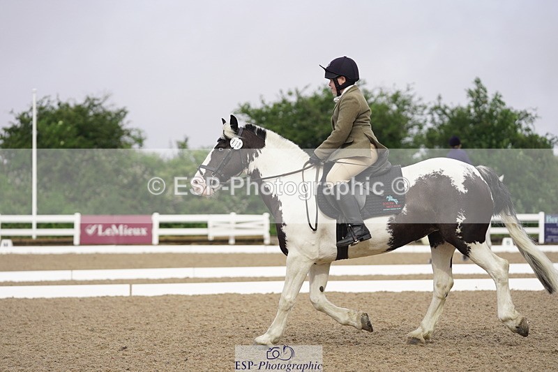 230708A-090122-00009 - Intro C