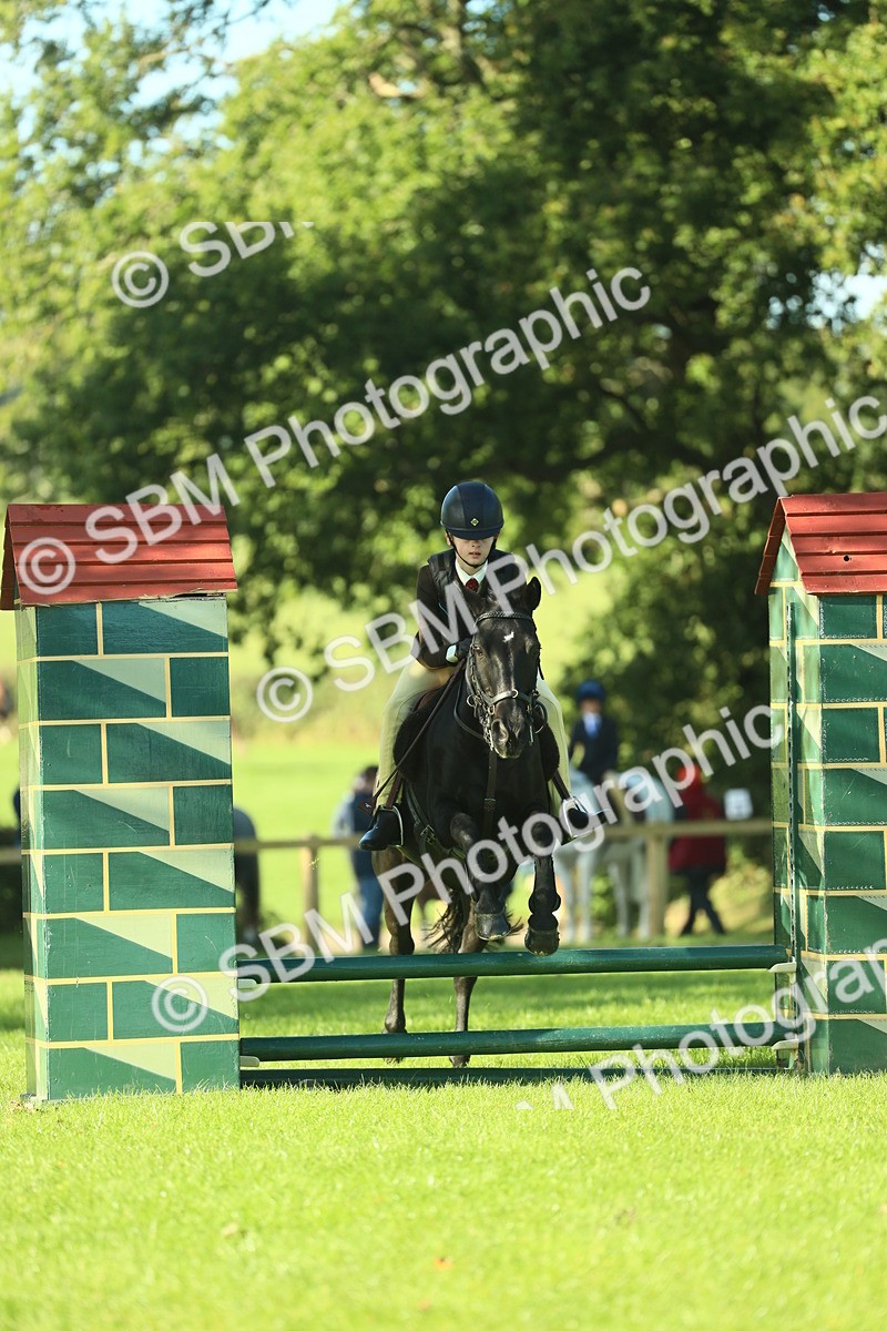 SBM_36326 - S29 - Novice & Newcomers Working Hunter Pony