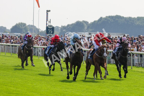 yr05092021r1-21 - Race 1 2.10pm IRE-Incentive It Pays To Buy Irish ebfstallions.com Novice Stakes