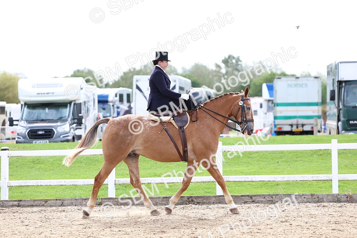 SBM_03303 - Class 23 - SSA Classical (any age)
