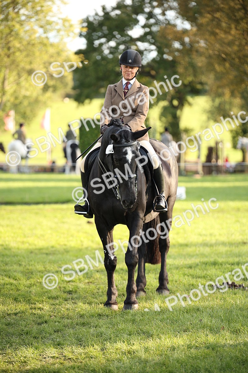 SBM_54426 - S27 - Mature Veteran - Ridden