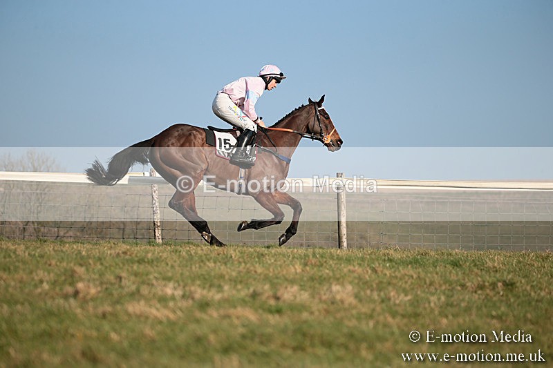 PtP 230219 409 - Vine & Craven Point-To-Point - Barbury 23/02/19