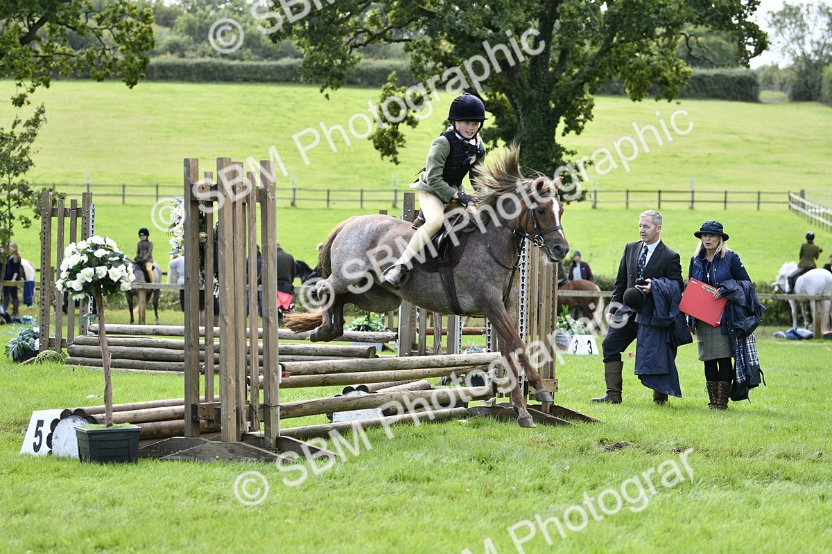 SBM_41255 - S32 - Mountain & Moorland Working Hunter Pony