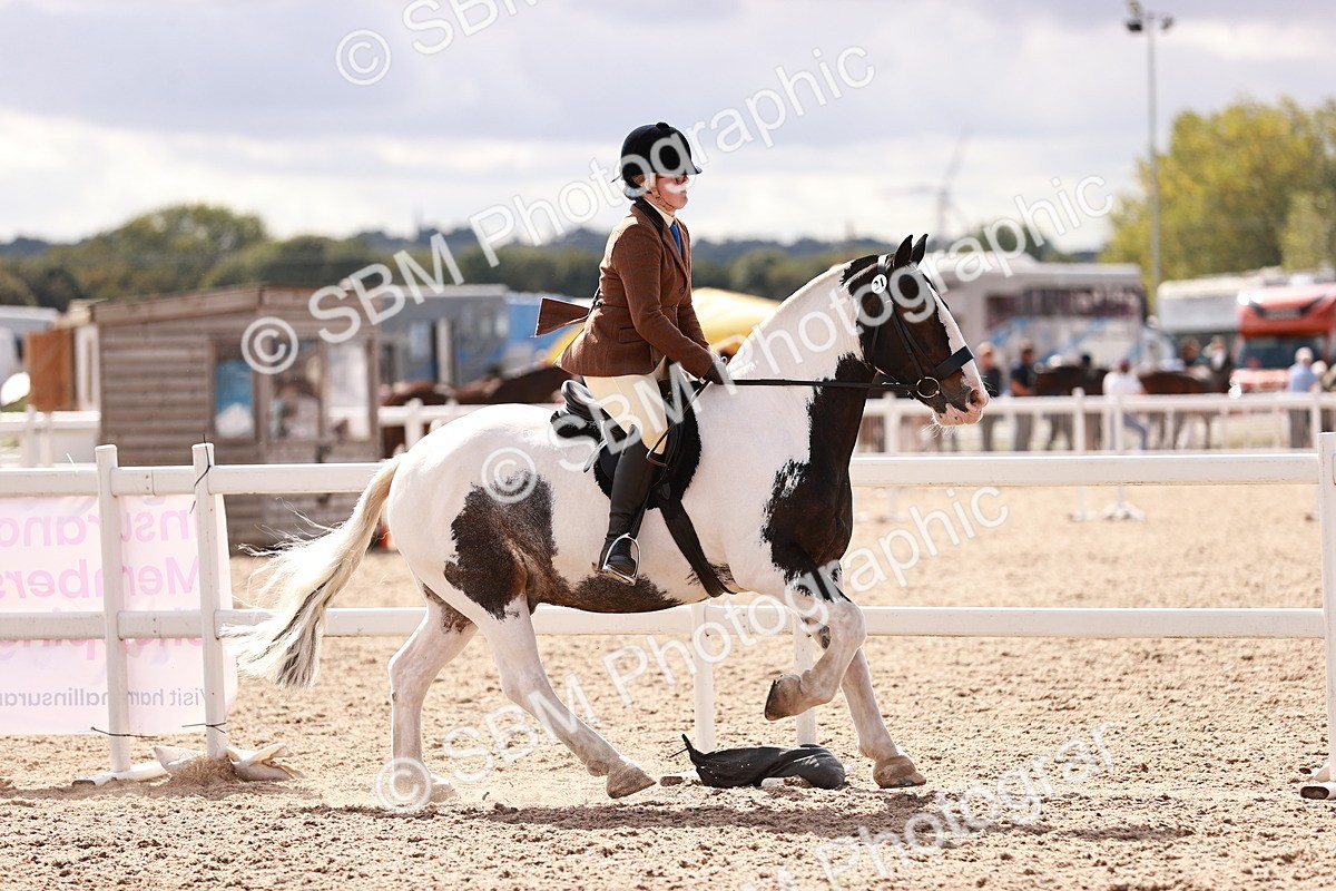 SBM_14439 - Class 410 - Grassroots Ridden - Horse