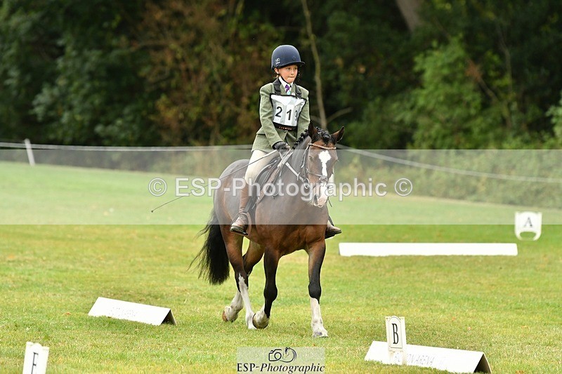 250820A-111400-04950 - 11am to 12