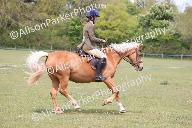 20260426-2997 - Class 33 - Best Pony 14.2hh and Under