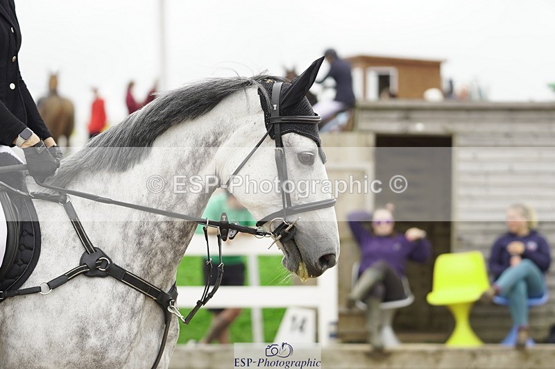 230728A-101110-00265 - Cls 7 British Novice & 90cm Open