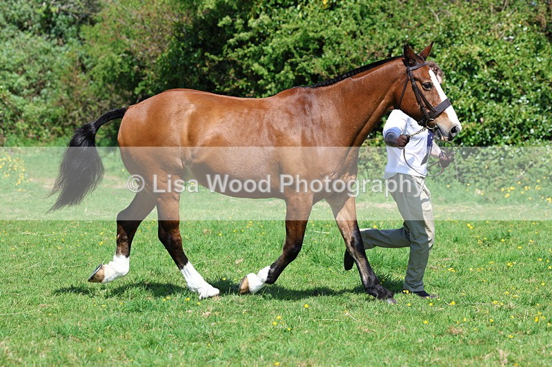 3E7A0279 - Class 19: Best Coloured in Hand