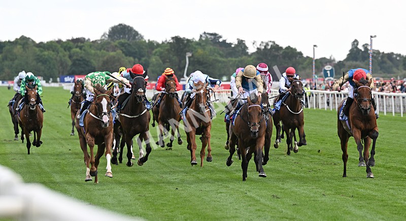 220826-136 Daiquiri Bay - Race 4 15.35pm Sky Bet Ebor Handicap