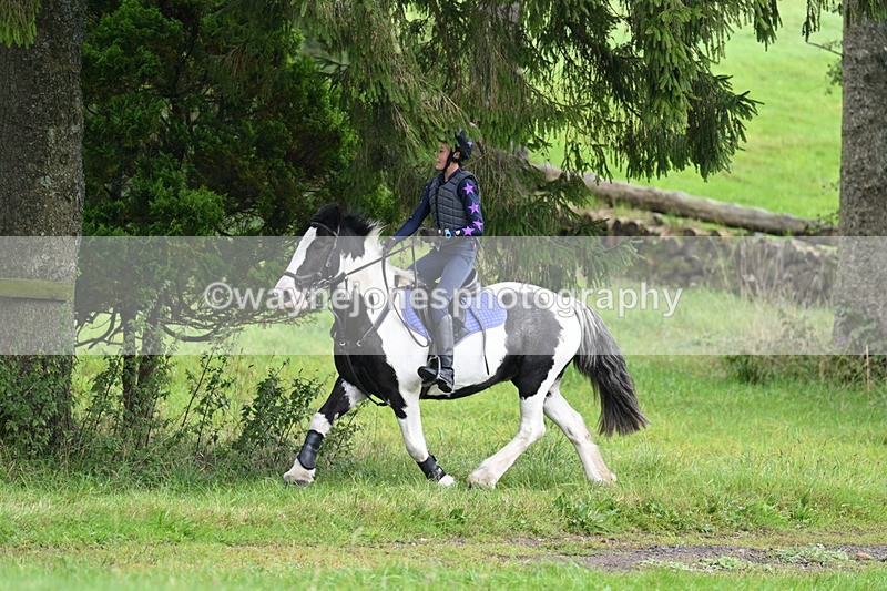 WJ7_8183 - Time 14:11 to 14:30