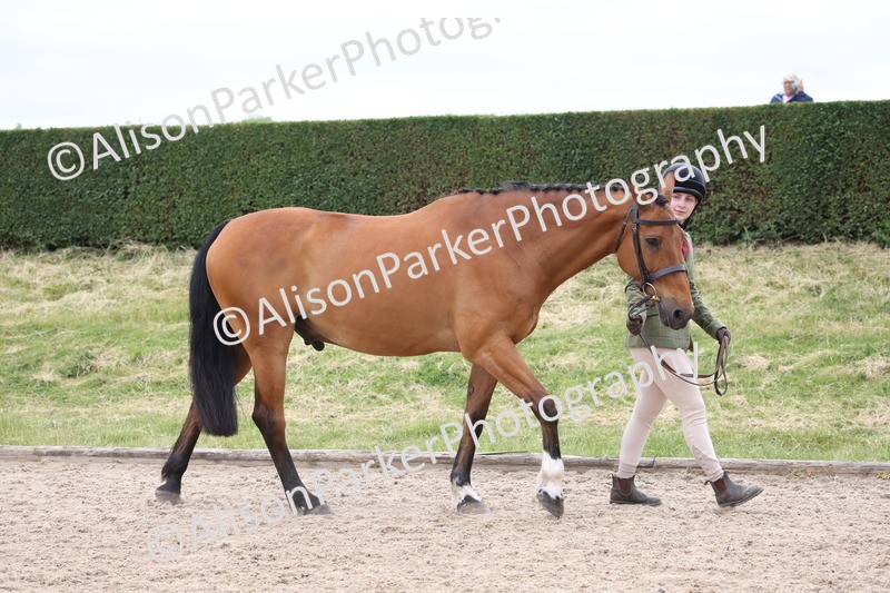 20250524-0949 - Class 9 - Cob and Hunter