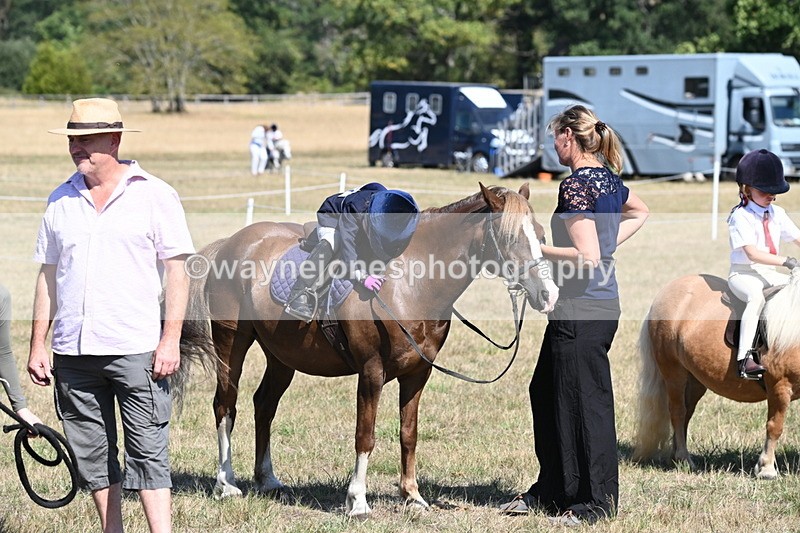 WJ6_9353 - Class 40 Cheekiest Pony/Horse
