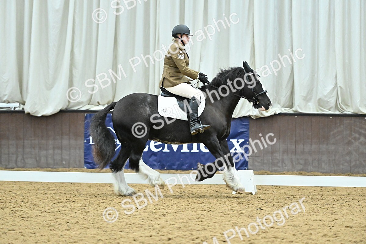 SBM_007455 - Class 81 - Novice 3