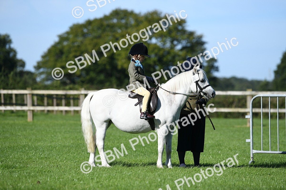 SBM_36773 - S18 - Novice & Newcomers Lead Rein Pony
