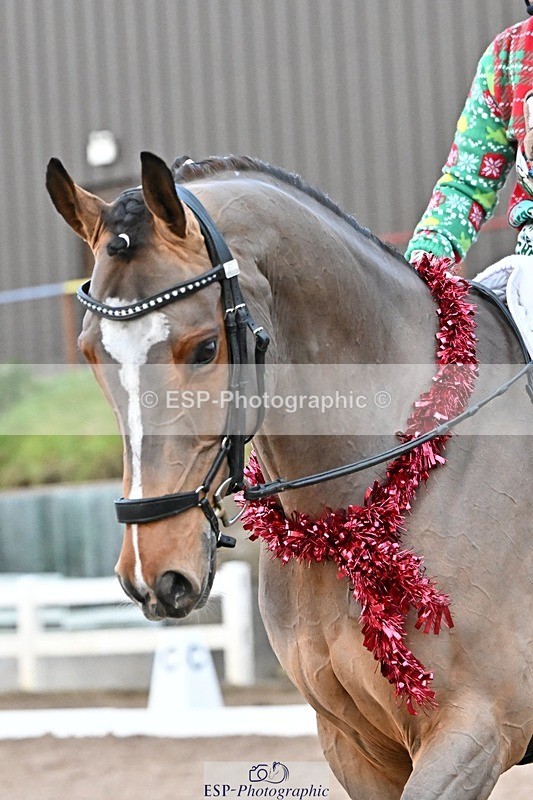 241214-154719-03382 - 138-Tyler.Bradshaw-Igor.VIII