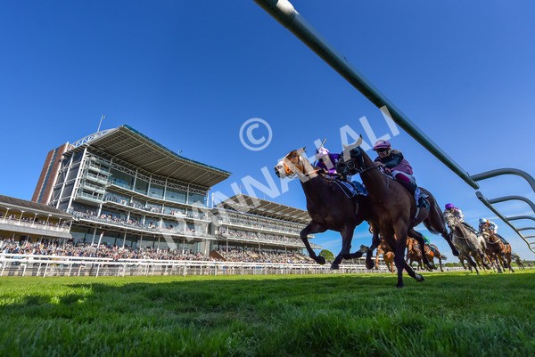 140525-Race 7-Great Bedwyn-2 - Race 7 5.25pm Stuey Weston & Friends Getting Out Handicap