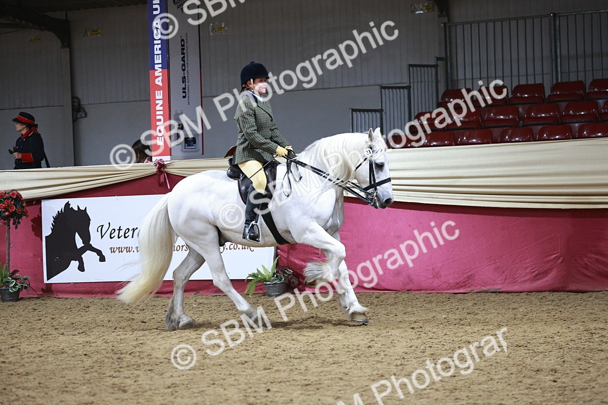 SBM_08057 - Class 11R - Regional Ridden Veteran