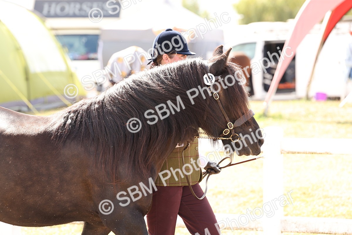 SBM_15021 - Class 209 - IH Veteran Pony