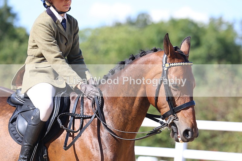 3E7A5749 - Class 10: Riding Horse