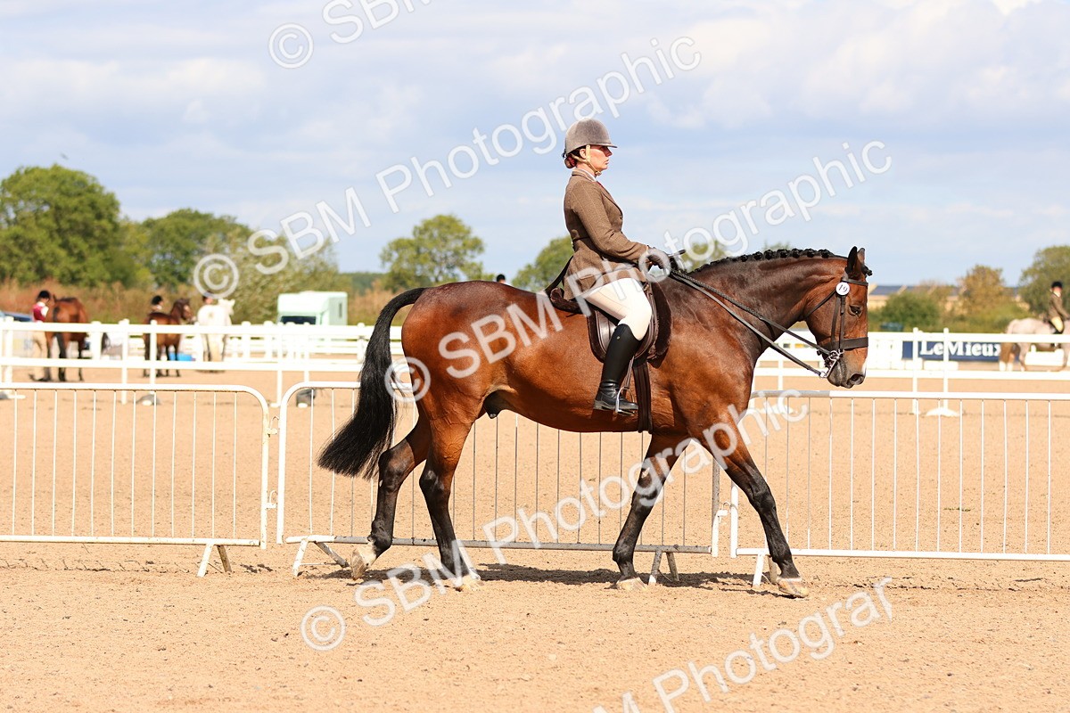 SBM_13455 - Class 212 - Ridden Hunter  - Large