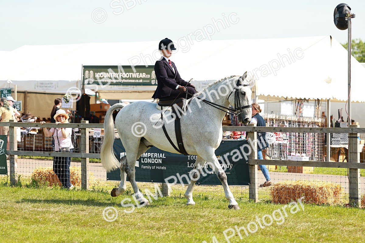 SBM_13097 - Class 70-71 - Side Saddle