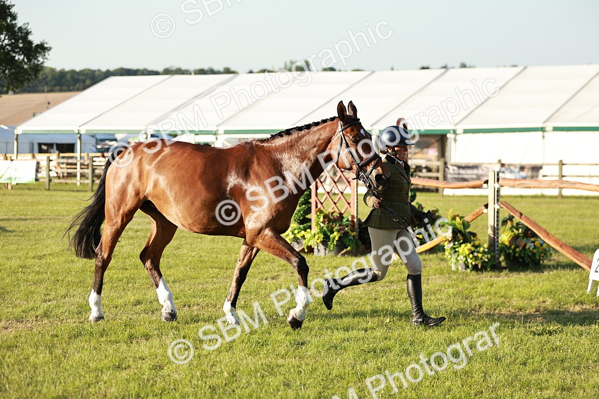 SBM_20543 - Class 117-119 - Sport Horse Working Hunter