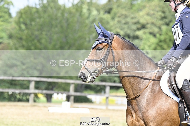 250822A-115954-22515 - DR 11.00 to 12.00