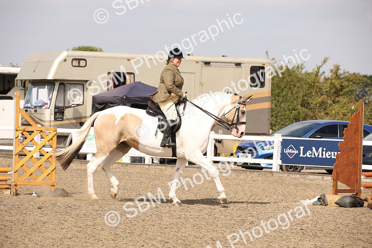 SBM_14195 - Class 407a - Working Veteran 60cm (15-19